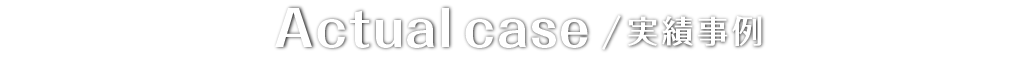 実績事例