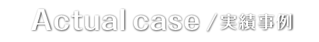 実績事例